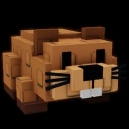 Beaver - Rare pet