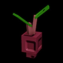 Evo Beetroot